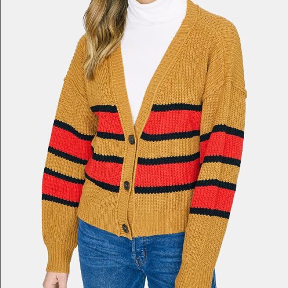 NWT Sanctuary V Neck Sweater